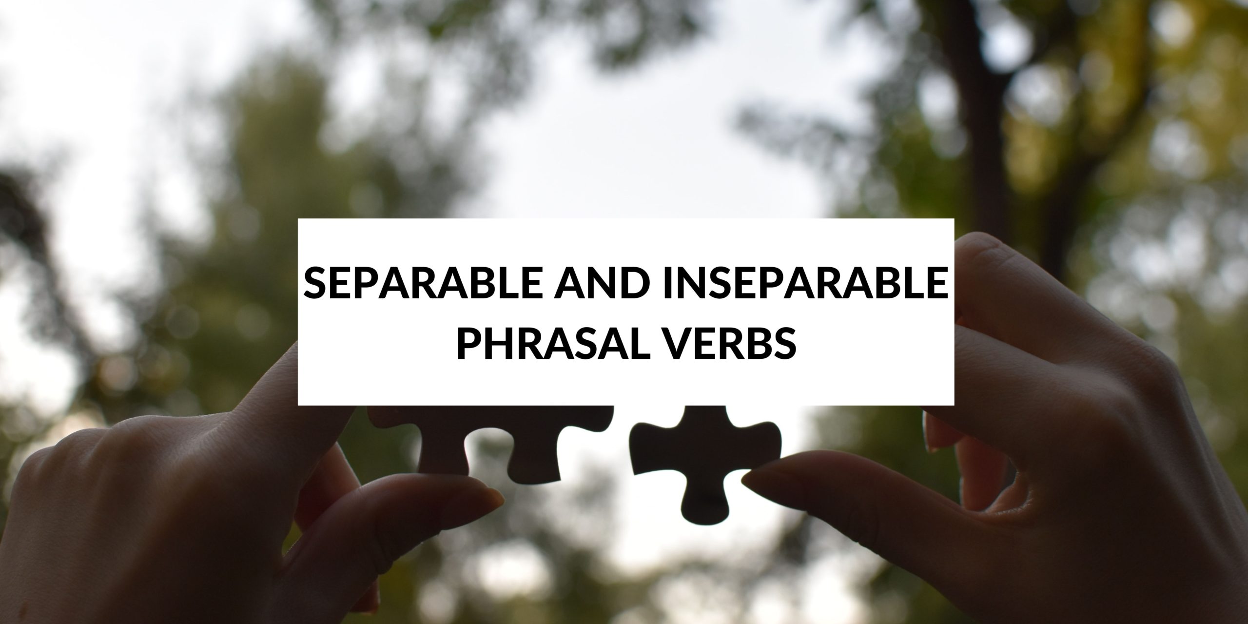 separable-and-inseparable-phrasal-verbs-speak-english-by-yourself