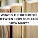 WHAT IS THE DIFFERENCE BETWEEN 'HOW MANY'AND 'HOW MUCH'