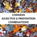 COMMON ADJECTIVE & PREPOSITION COMBINATIONS