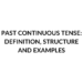 PAST CONTINUOUS TENSE EXAMPLES