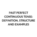 PAST PERFECT CONTINUOUS TENSE EXAMPLES