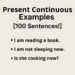 Present Continuous Examples