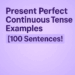 present perfect continuous tense examples